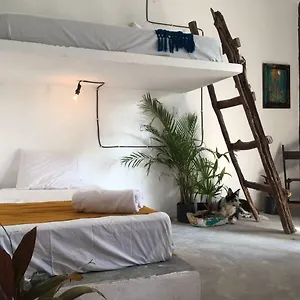 Casa de hóspedes Black Jaguar